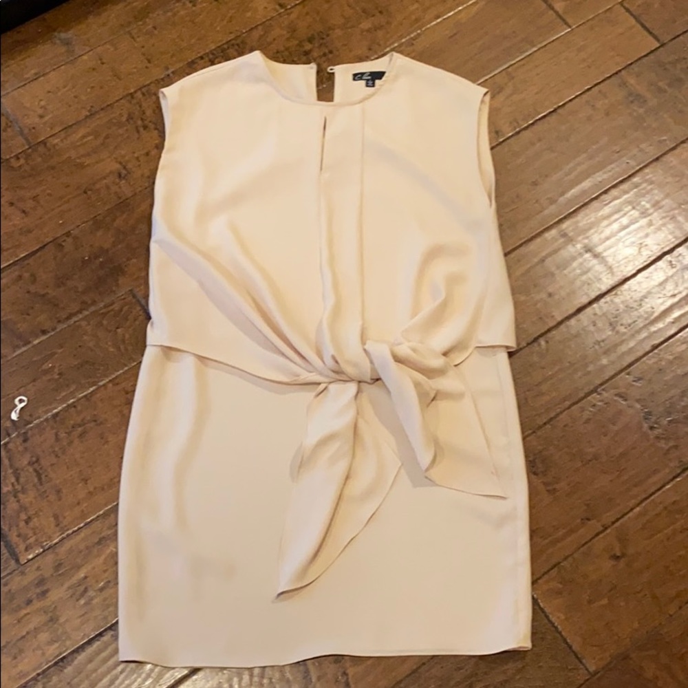 Nude Shift with Tie Waist